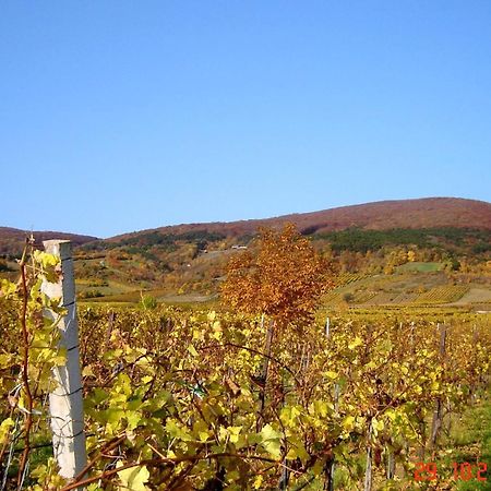 Winzerhotel Gumpoldskirchen Luaran gambar