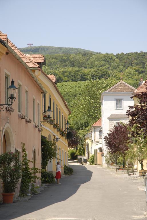Winzerhotel Gumpoldskirchen Luaran gambar